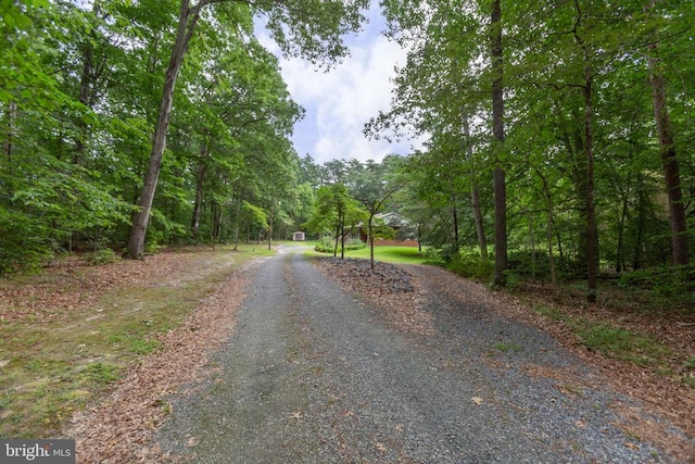 8305 Old Plank Rd, Fredericksburg, VA 22407 - view of dirt / gravel driveway