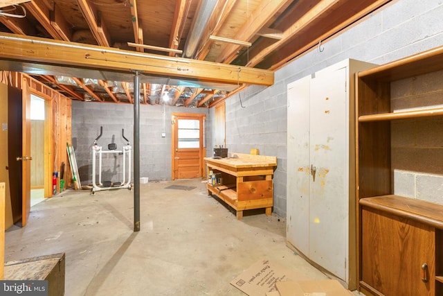 8305 Old Plank Rd, Fredericksburg, VA 22407 - basement featuring concrete block wall