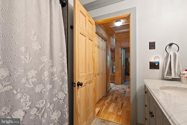 bathroom featuring wood finished floors and vanity