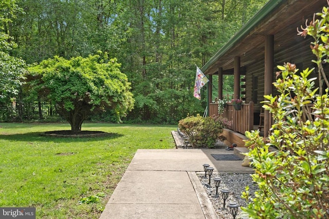 view of grassy yard featuring a patio