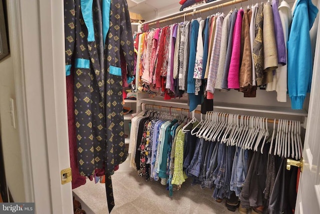 13608 General Slocum Ct S, Fredericksburg, VA 22407 - spacious closet featuring carpet flooring