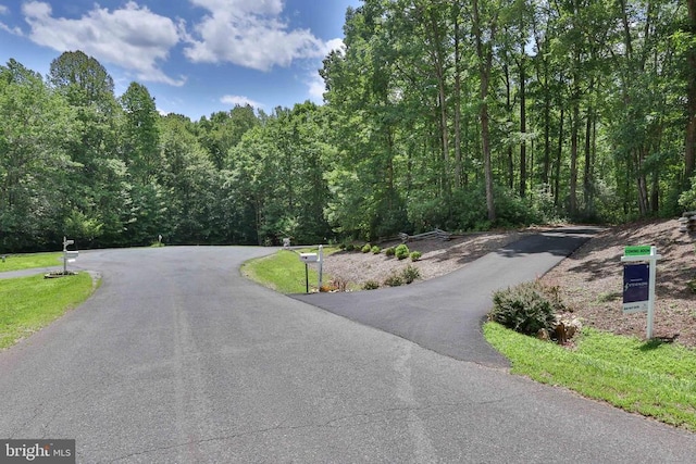 13608 General Slocum Ct S, Fredericksburg, VA 22407 - view of asphalt road featuring a wooded view