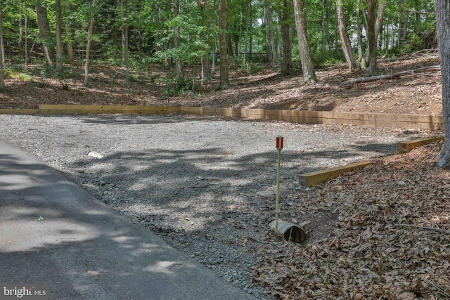 13608 General Slocum Ct S, Fredericksburg, VA 22407 - view of yard