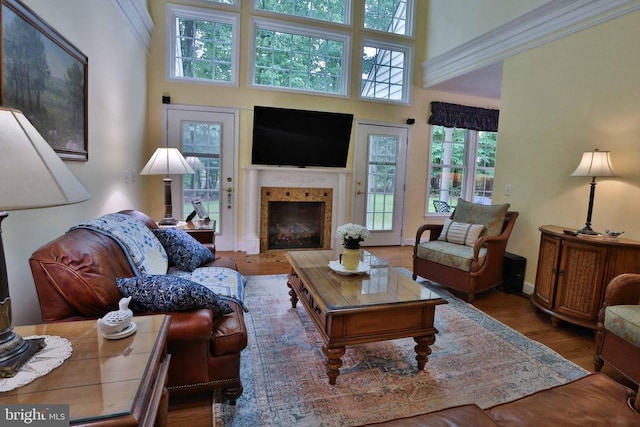 13608 General Slocum Ct S, Fredericksburg, VA 22407 - living room with a fireplace with flush hearth, wood finished floors, and a high ceiling