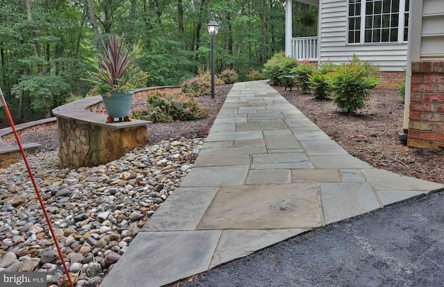 13608 General Slocum Ct S, Fredericksburg, VA 22407 - view of patio / terrace