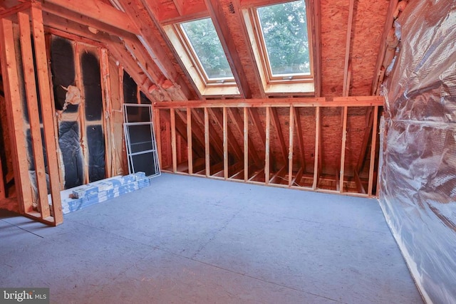 13608 General Slocum Ct S, Fredericksburg, VA 22407 - unfinished attic with a skylight