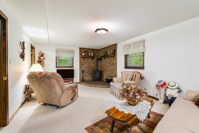 204 Spotswood Ln, Mcgaheysville, VA 22840 - photo 23
