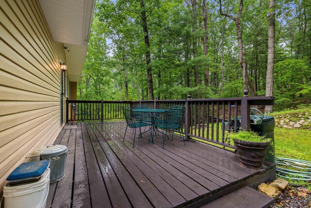204 Spotswood Ln, Mcgaheysville, VA 22840 - photo 36