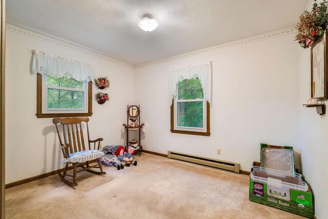 204 Spotswood Ln, Mcgaheysville, VA 22840 - photo 20