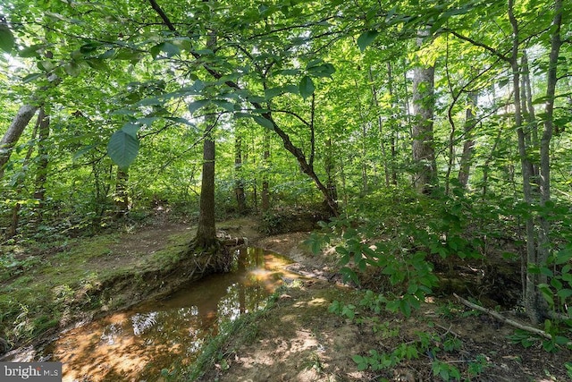 127 Saylers Creek Rd, Locust Grove, VA 22508 - photo 11