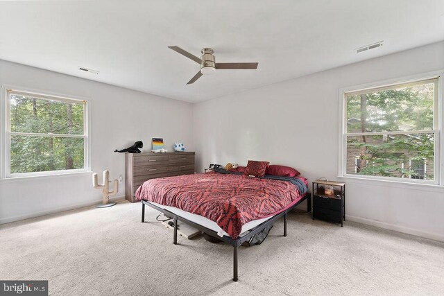 127 Saylers Creek Rd, Locust Grove, VA 22508 - photo 49