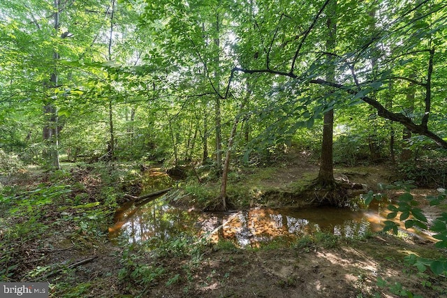 127 Saylers Creek Rd, Locust Grove, VA 22508 - photo 10