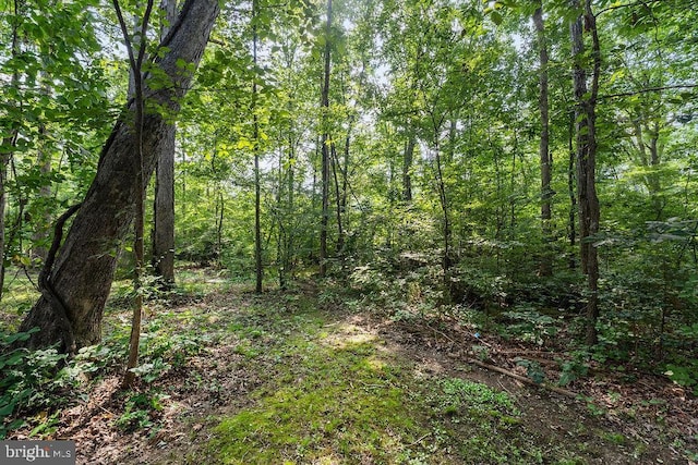 127 Saylers Creek Rd, Locust Grove, VA 22508 - photo 19