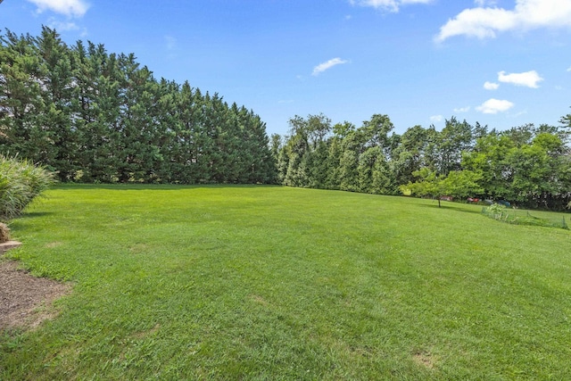 336 Hollingsworth Rd, Woodstock, VA 22664 - view of green lawn