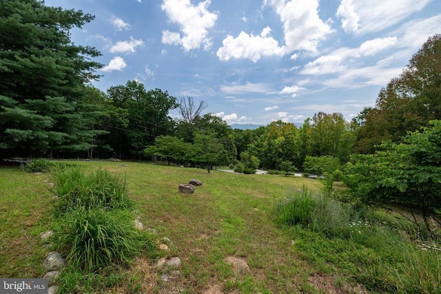 165 Cross Creek Rd, Luray, VA 22835 - photo 50
