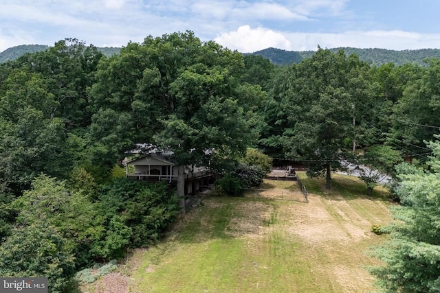 165 Cross Creek Rd, Luray, VA 22835 - photo 63