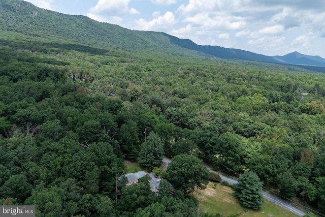 165 Cross Creek Rd, Luray, VA 22835 - photo 72