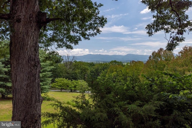 165 Cross Creek Rd, Luray, VA 22835 - photo 43