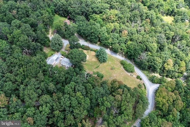 165 Cross Creek Rd, Luray, VA 22835 - photo 73