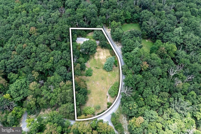 165 Cross Creek Rd, Luray, VA 22835 - photo 74