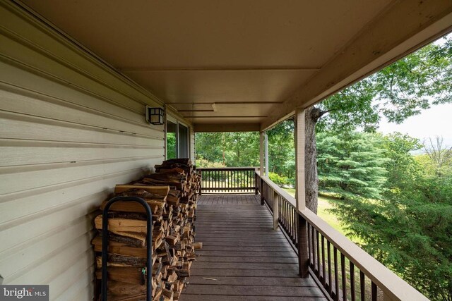 165 Cross Creek Rd, Luray, VA 22835 - photo 39