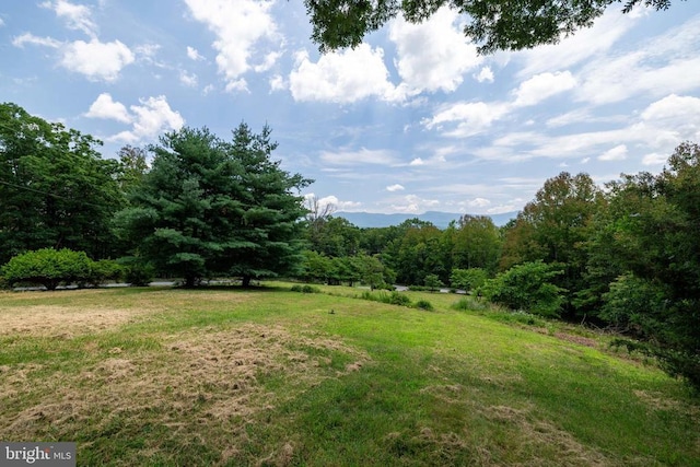 165 Cross Creek Rd, Luray, VA 22835 - photo 47