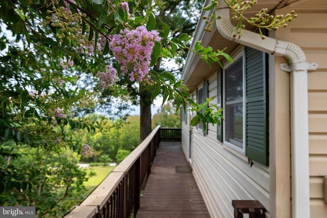 165 Cross Creek Rd, Luray, VA 22835 - photo 34