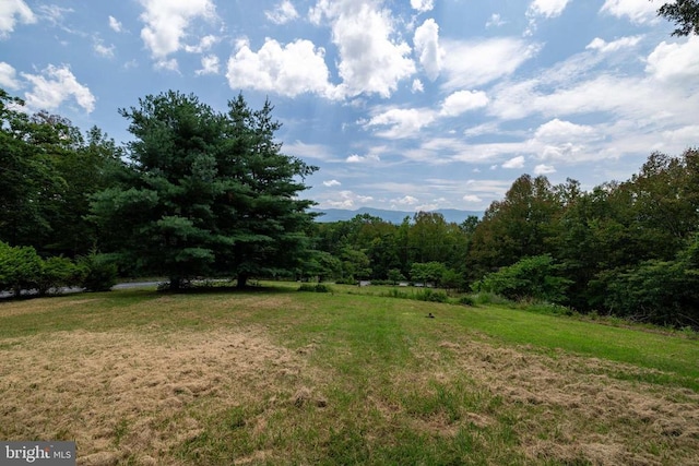 165 Cross Creek Rd, Luray, VA 22835 - photo 48