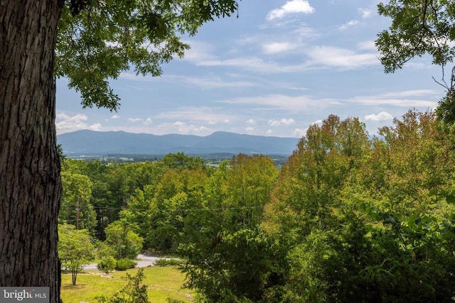 165 Cross Creek Rd, Luray, VA 22835 - photo 44