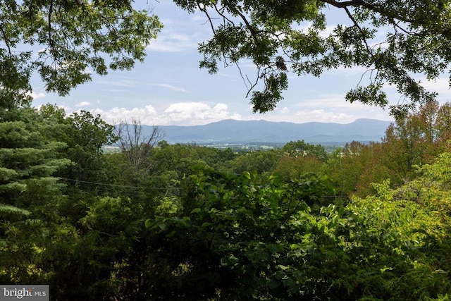 165 Cross Creek Rd, Luray, VA 22835 - photo 45