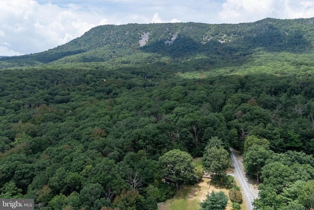 165 Cross Creek Rd, Luray, VA 22835 - photo 65