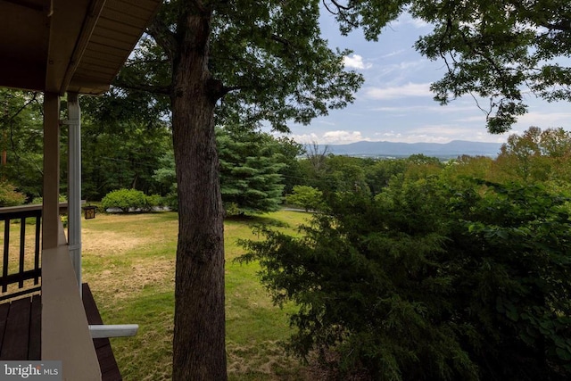 165 Cross Creek Rd, Luray, VA 22835 - photo 42