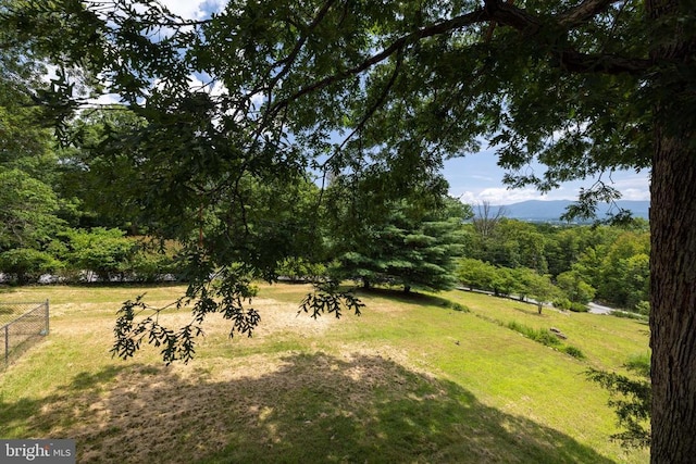 165 Cross Creek Rd, Luray, VA 22835 - photo 46