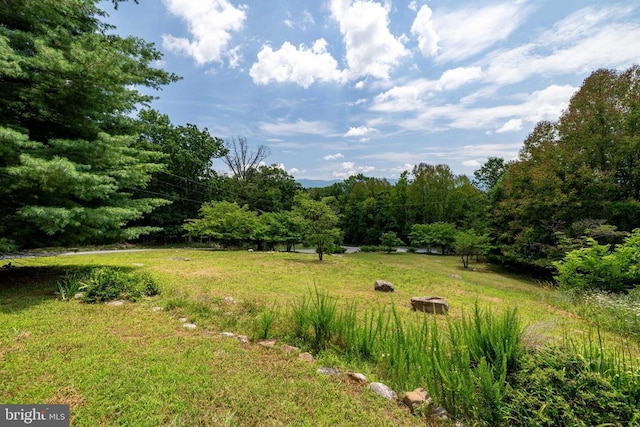 165 Cross Creek Rd, Luray, VA 22835 - photo 49