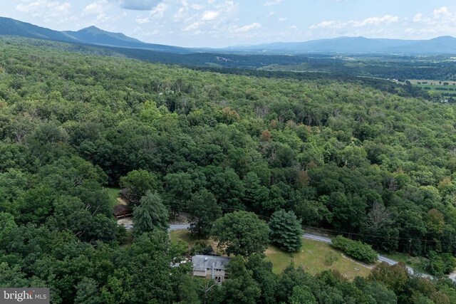 165 Cross Creek Rd, Luray, VA 22835 - photo 71