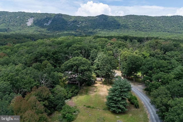 165 Cross Creek Rd, Luray, VA 22835 - photo 64
