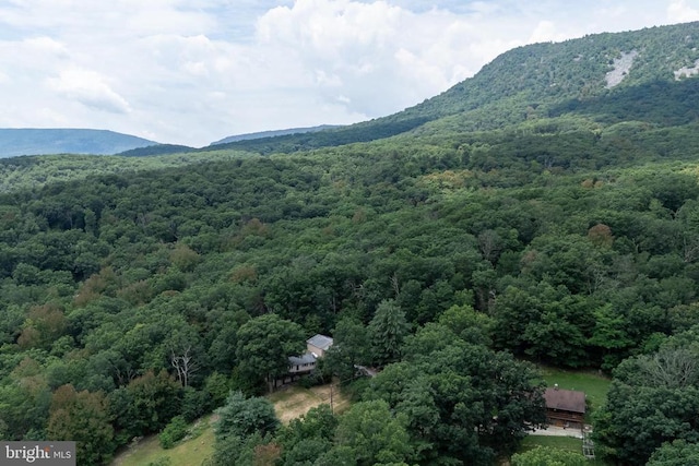 165 Cross Creek Rd, Luray, VA 22835 - photo 66