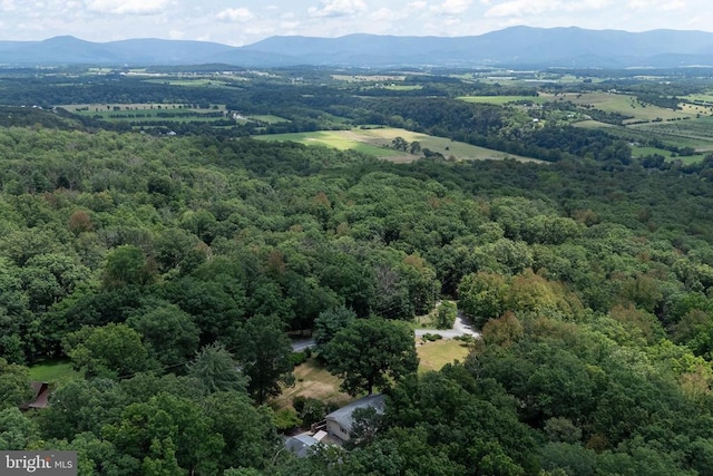 165 Cross Creek Rd, Luray, VA 22835 - photo 70