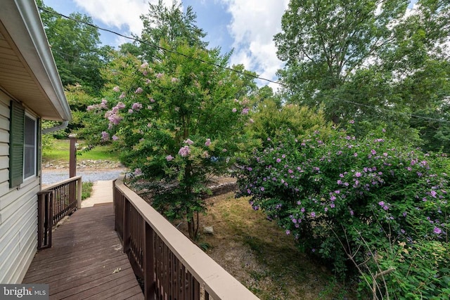 165 Cross Creek Rd, Luray, VA 22835 - photo 36