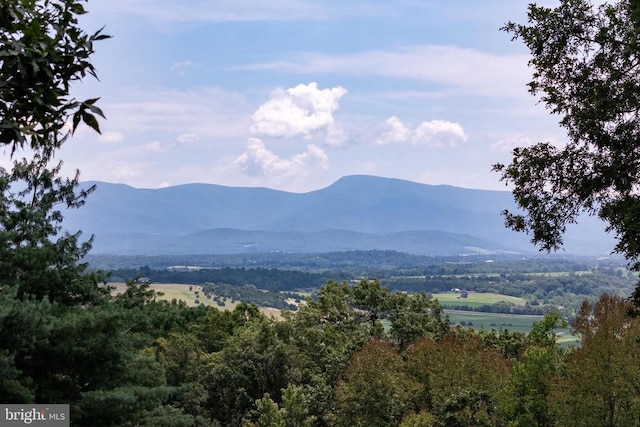 165 Cross Creek Rd, Luray, VA 22835 - photo 1