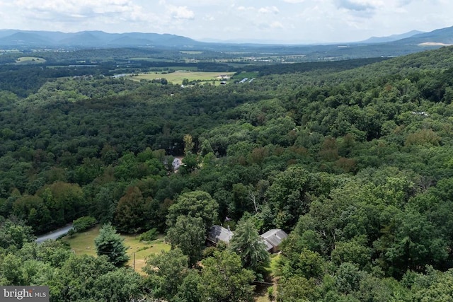 165 Cross Creek Rd, Luray, VA 22835 - photo 68