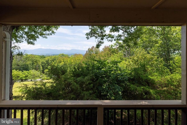 165 Cross Creek Rd, Luray, VA 22835 - photo 41