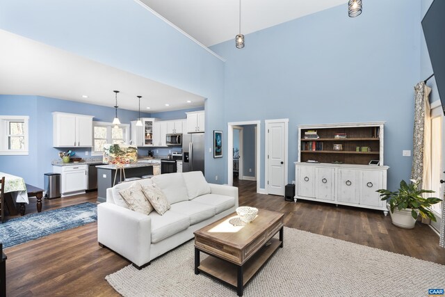 68 Ben Lyons Ln, Lyndhurst, VA 22952 - living room with a towering ceiling, dark wood finished floors, and baseboards
