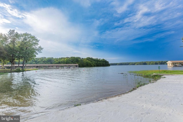 288 Lake Front Dr, Mineral, VA 23117 - photo 43