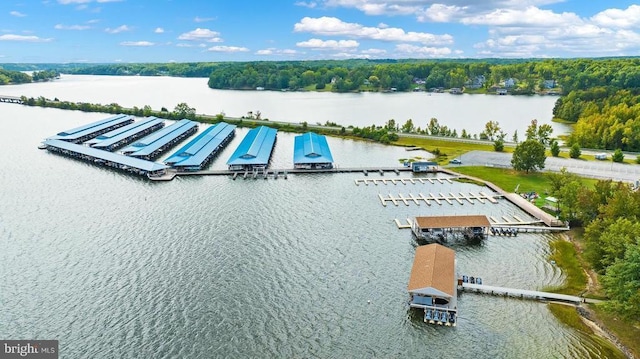 288 Lake Front Dr, Mineral, VA 23117 - photo 46