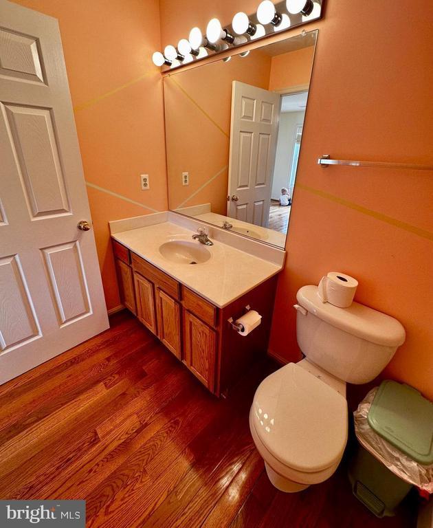 288 Lake Front Dr, Mineral, VA 23117 - bathroom featuring wood finished floors, toilet, and vanity