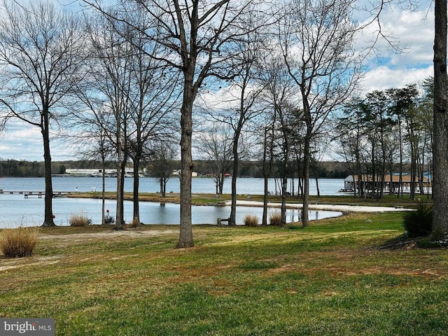 288 Lake Front Dr, Mineral, VA 23117 - water view