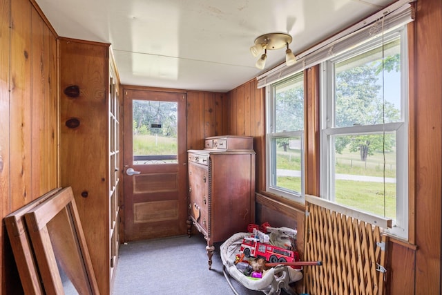 6596 Mayberry Rd, Singers Glen, VA 22850 - doorway to outside with plenty of natural light, light carpet, and wood walls