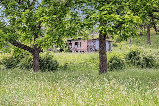 6596 Mayberry Rd, Singers Glen, VA 22850 - view of yard