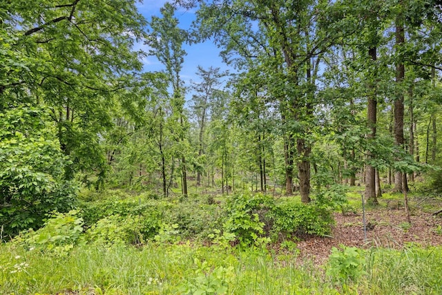 6596 Mayberry Rd, Singers Glen, VA 22850 - view of tree filled area